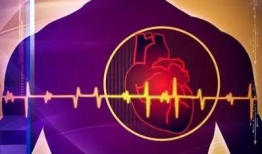 心脏跳动的视频,揭秘心脏跳动的奥秘